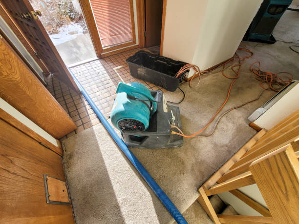 Best 24/7 water damage repair  in Lyndonville, VT