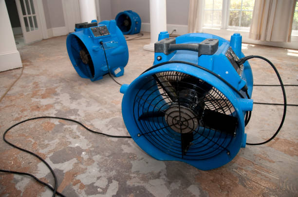 Best Flooded house restoration  in Lyndonville, VT