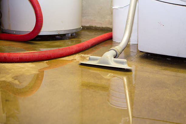 Reliable VT Water damage restoration Solutions