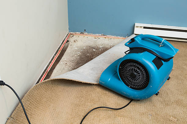 Best Carpet water damage restoration  in Lyndonville, VT
